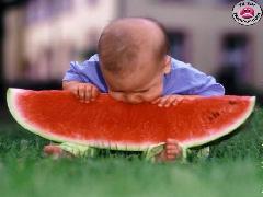 le bébé et le pastèque