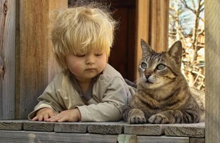 le chat et le garçon